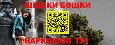 прущие грибы Новокубанск