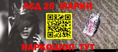 прущие грибы Новокубанск
